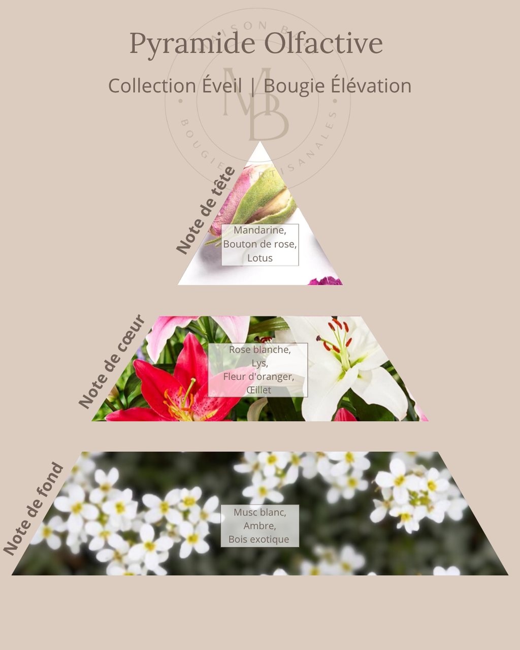 Bougie Élévation - Collection Éveil - Chakra Couronne - Maison Bali