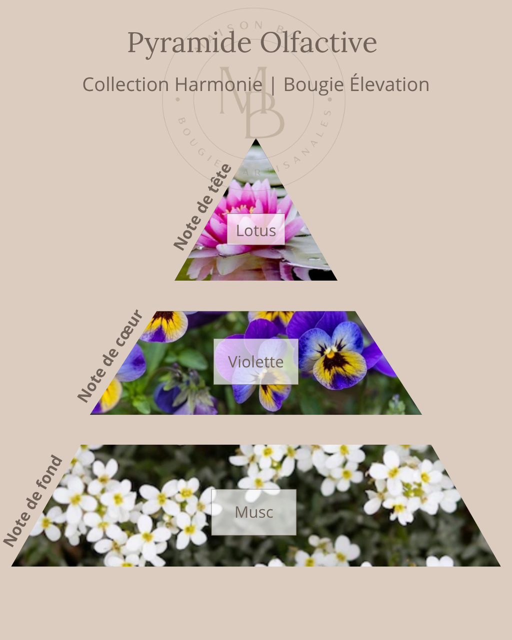 Bougie Élévation - QR Code Audio méditation - Maison Bali