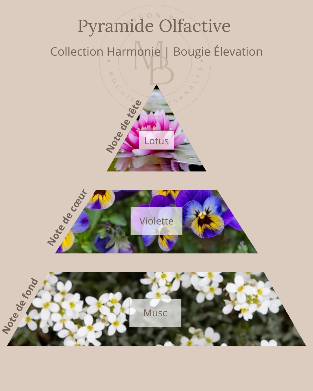 Bougie Élévation - QR Code Audio méditation - Maison Bali