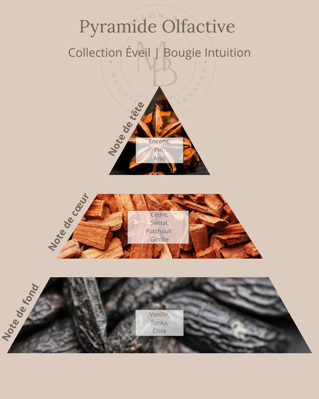 Bougie Intuition - Collection Éveil - Chakra Troisième Œil - Maison Bali