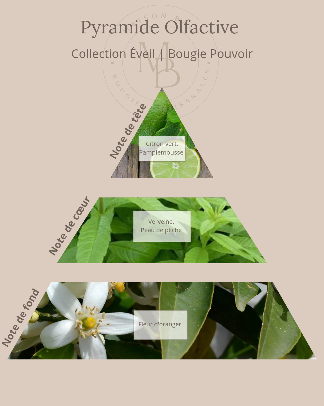 Bougie Pouvoir - Collection Éveil - Chakra Plexus Solaire - Maison Bali